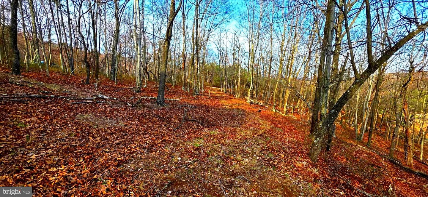 163 Olive Branch Road photo 51
