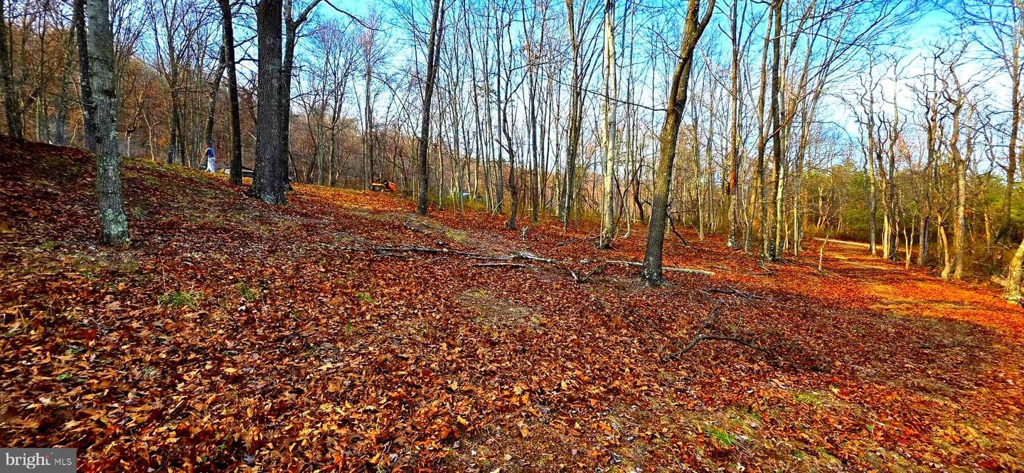 163 Olive Branch Road photo 53
