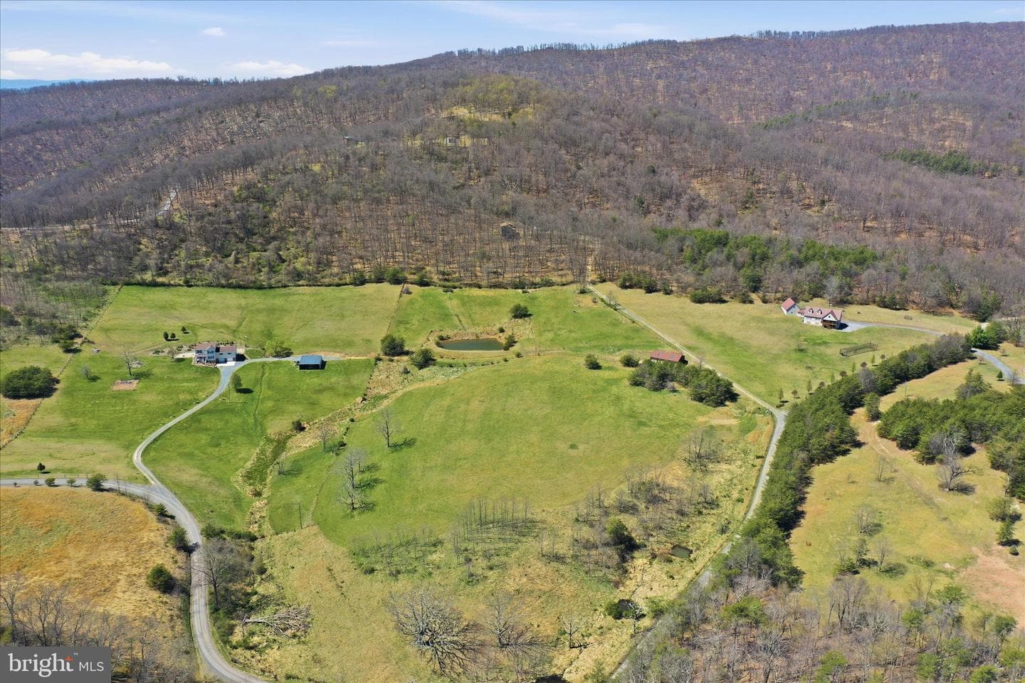 163 Olive Branch Road photo 59
