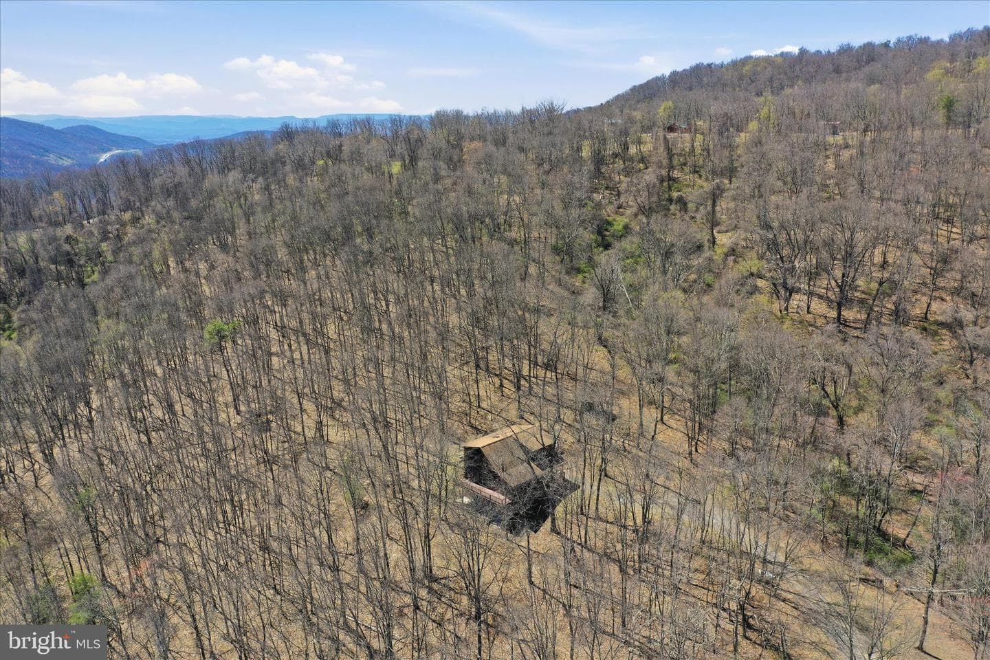 163 Olive Branch Road photo 64