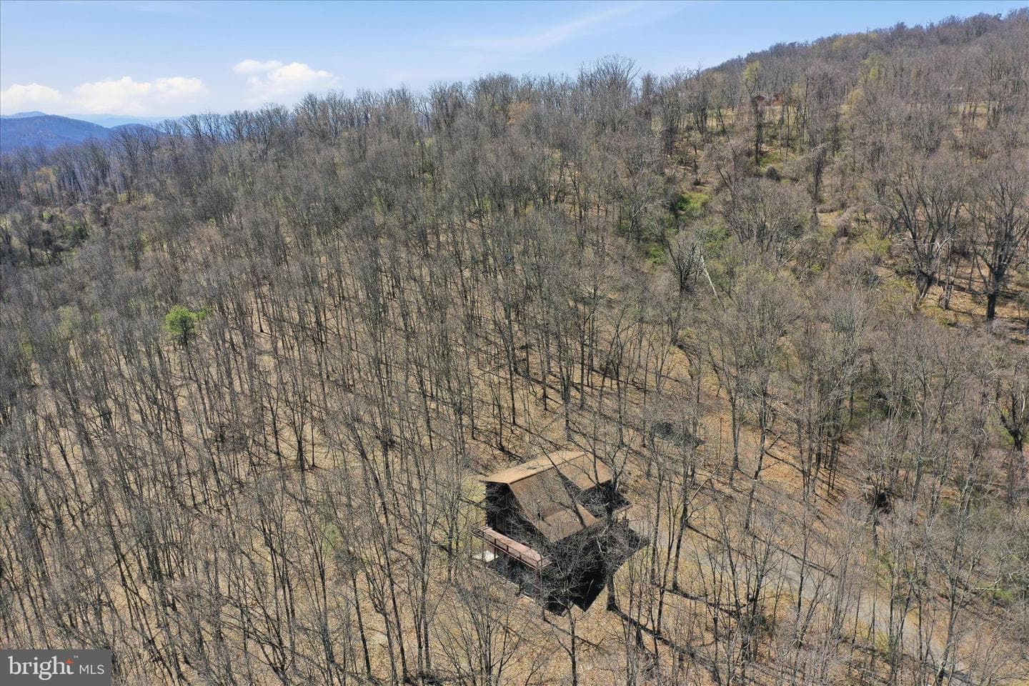 163 Olive Branch Road photo 65