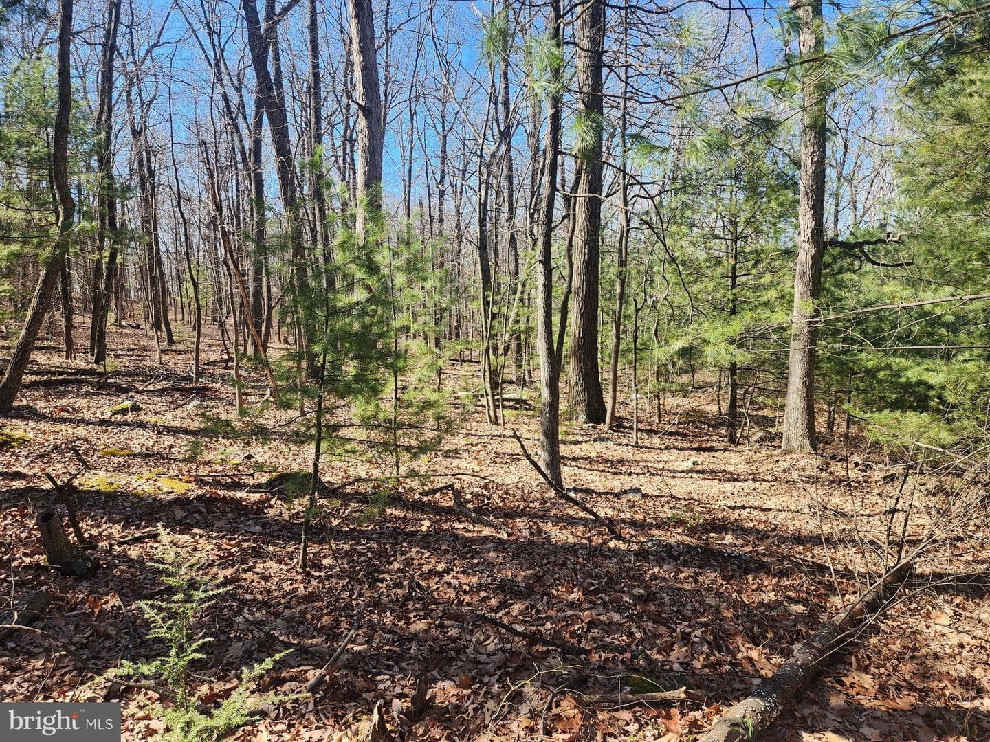 1080 Cove Mountain Road photo 12