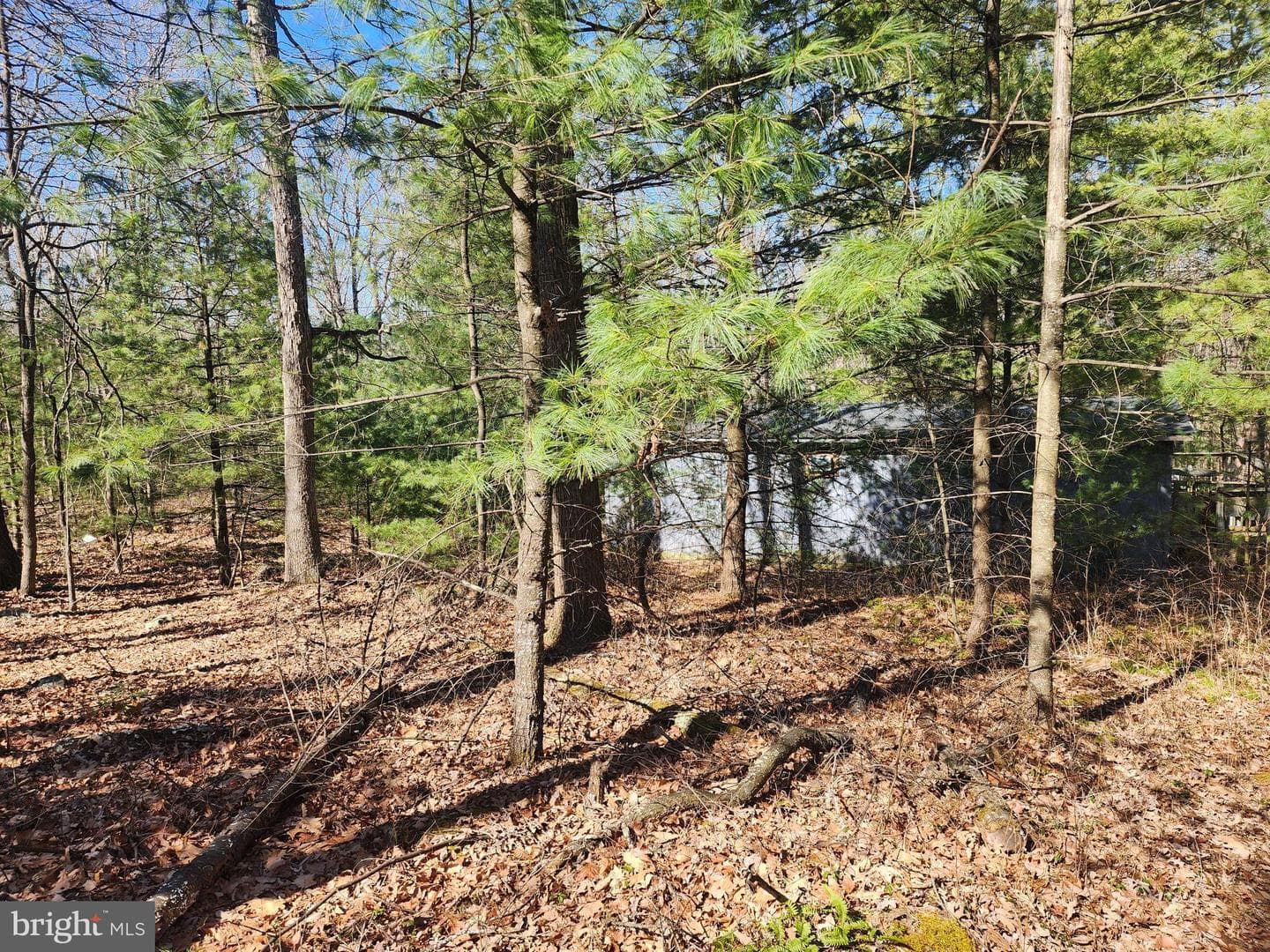 1080 Cove Mountain Road photo 13