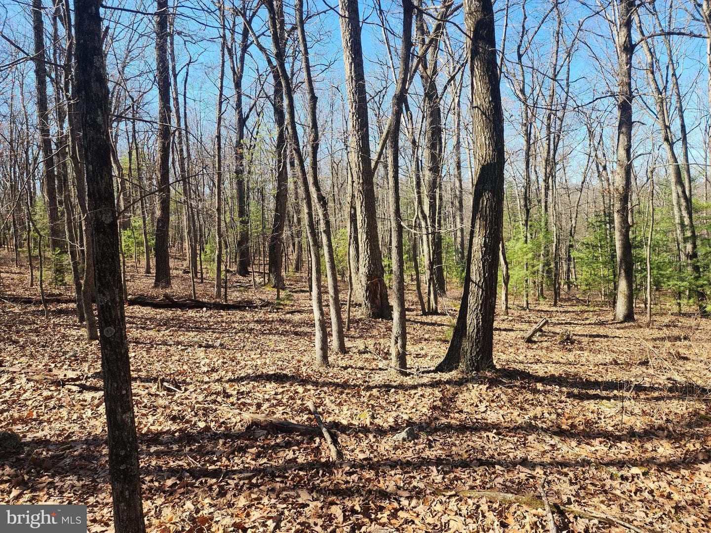 1080 Cove Mountain Road photo 16