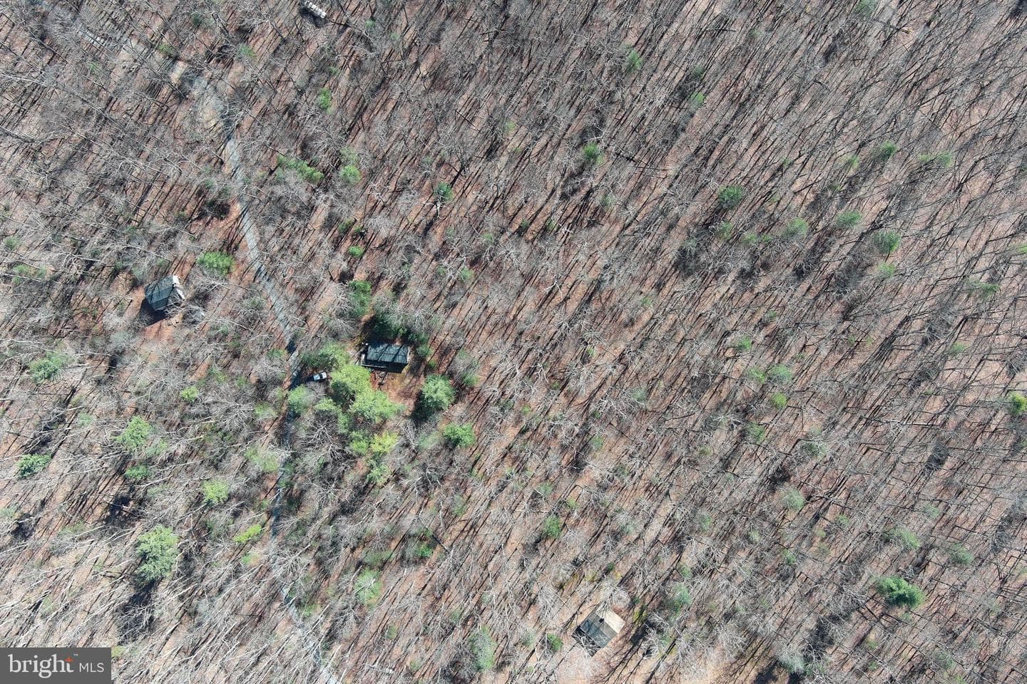 1080 Cove Mountain Road photo 36