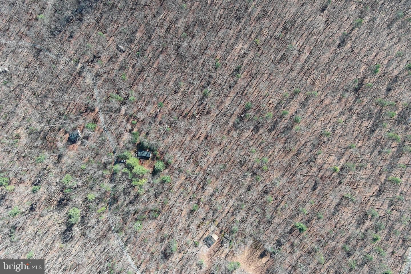 1080 Cove Mountain Road photo 38
