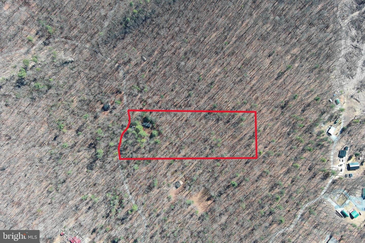 1080 Cove Mountain Road photo 5