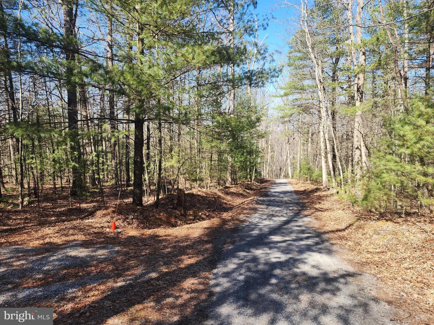 1080 Cove Mountain Road photo 6