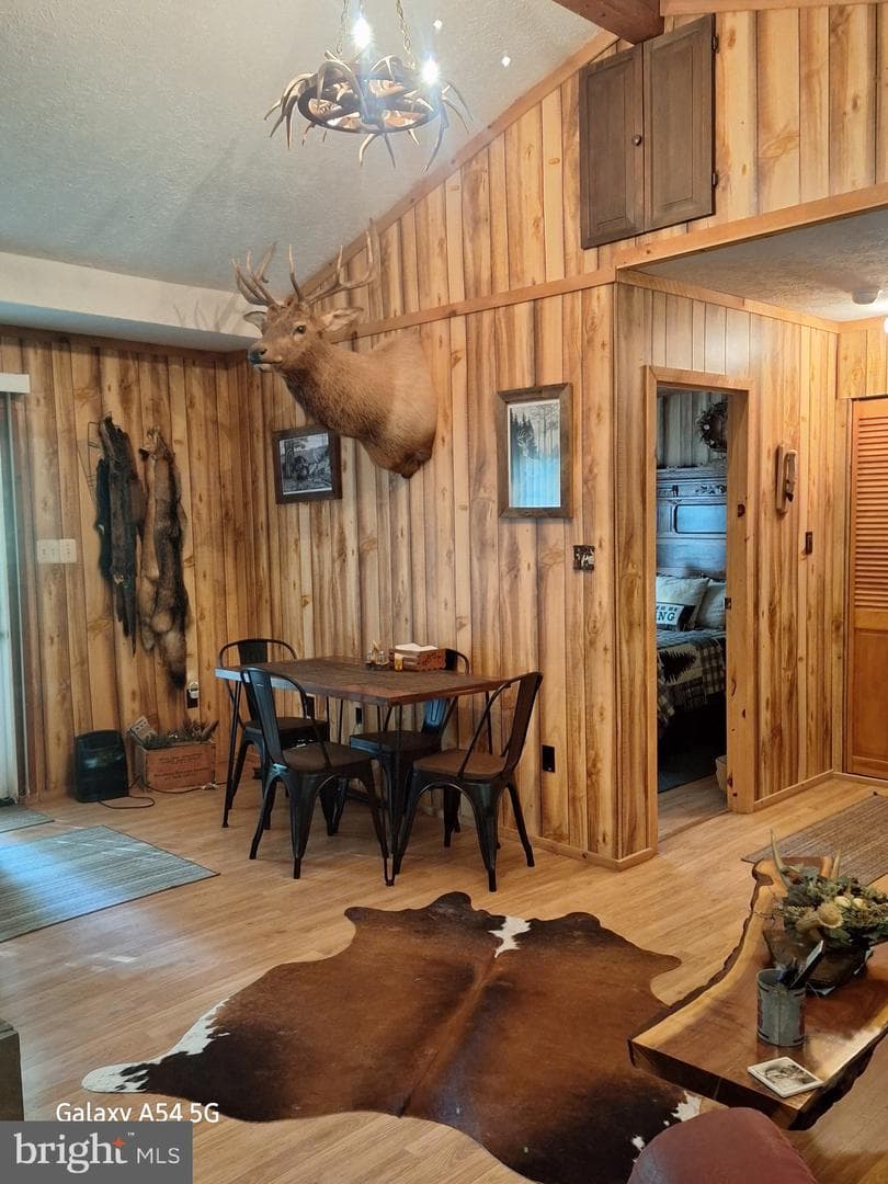 217 Meadow View Drive photo 5