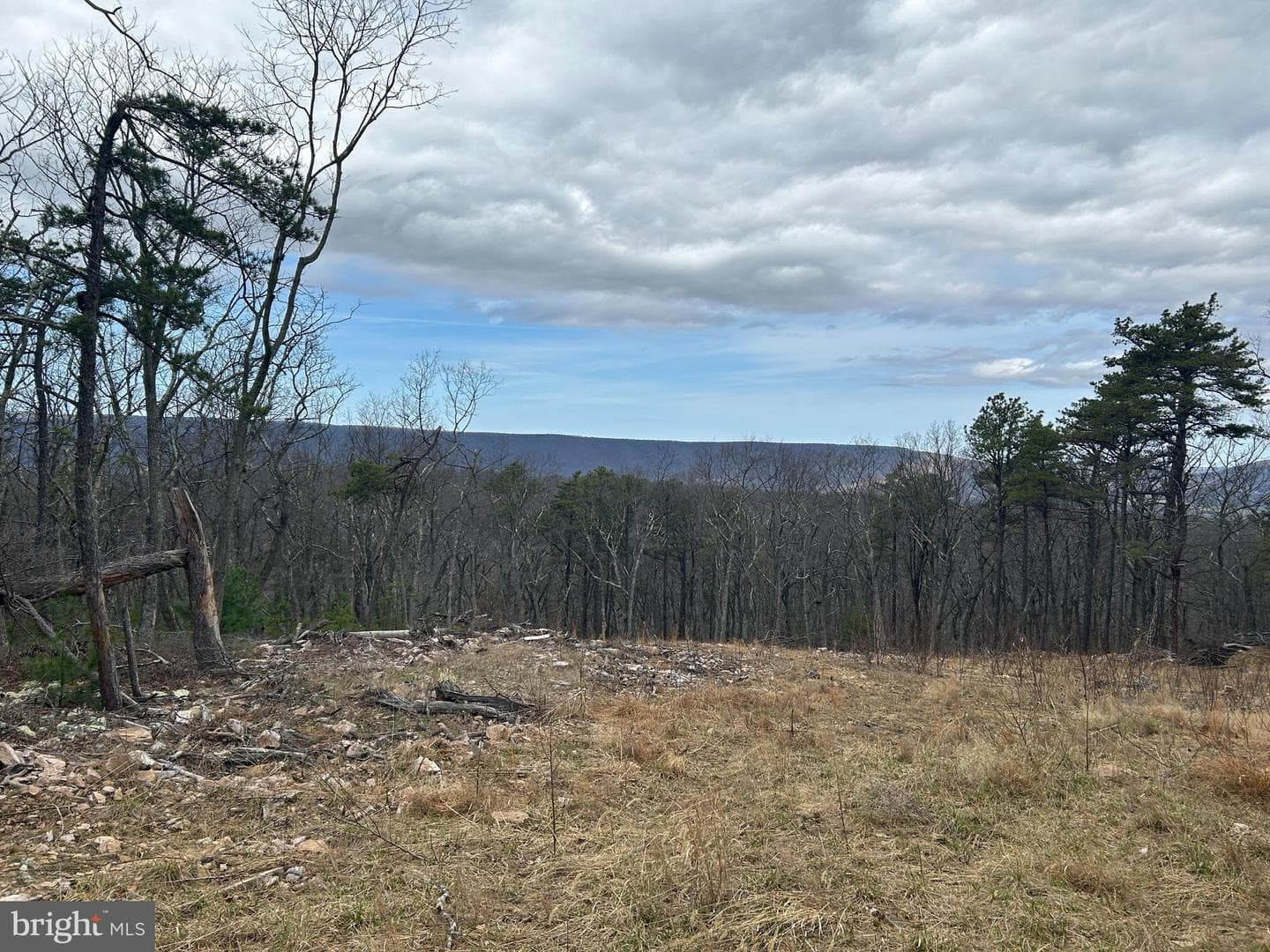 121 Scotch Pine Lane, Wardensville