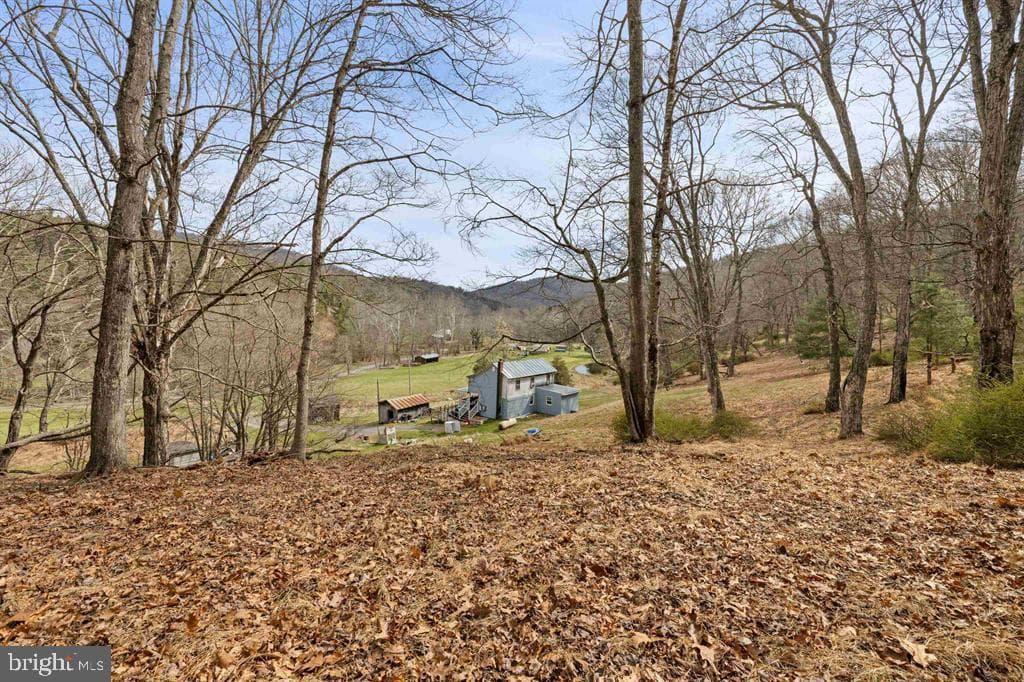 1851 Cullers Run Road photo 55