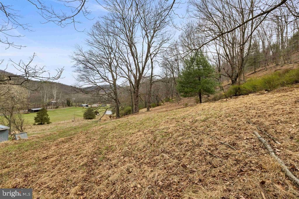 1851 Cullers Run Road photo 56