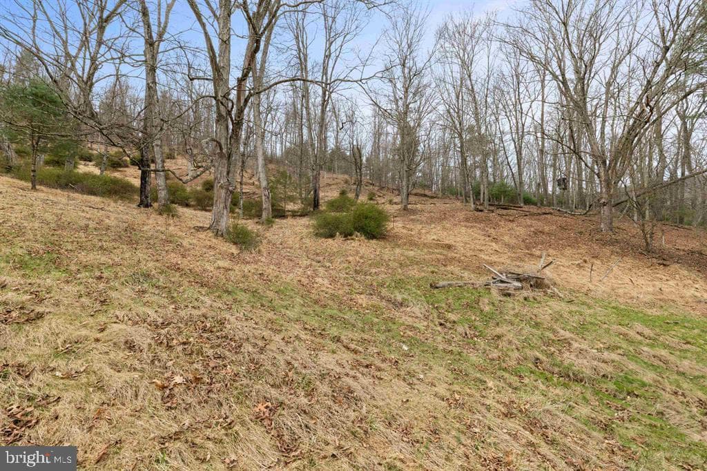 1851 Cullers Run Road photo 57