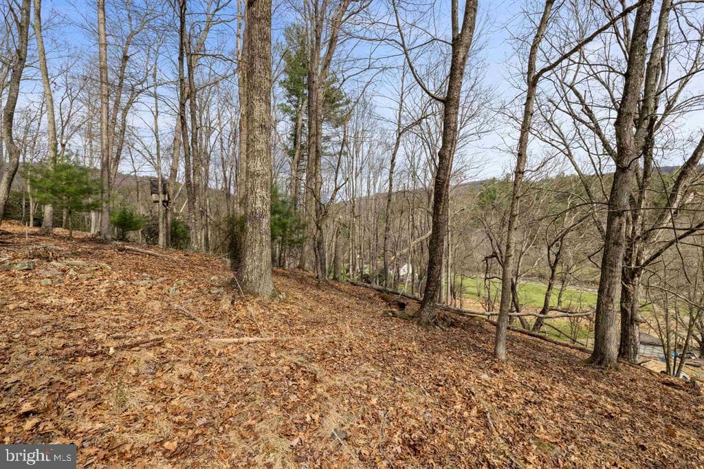 1851 Cullers Run Road photo 58