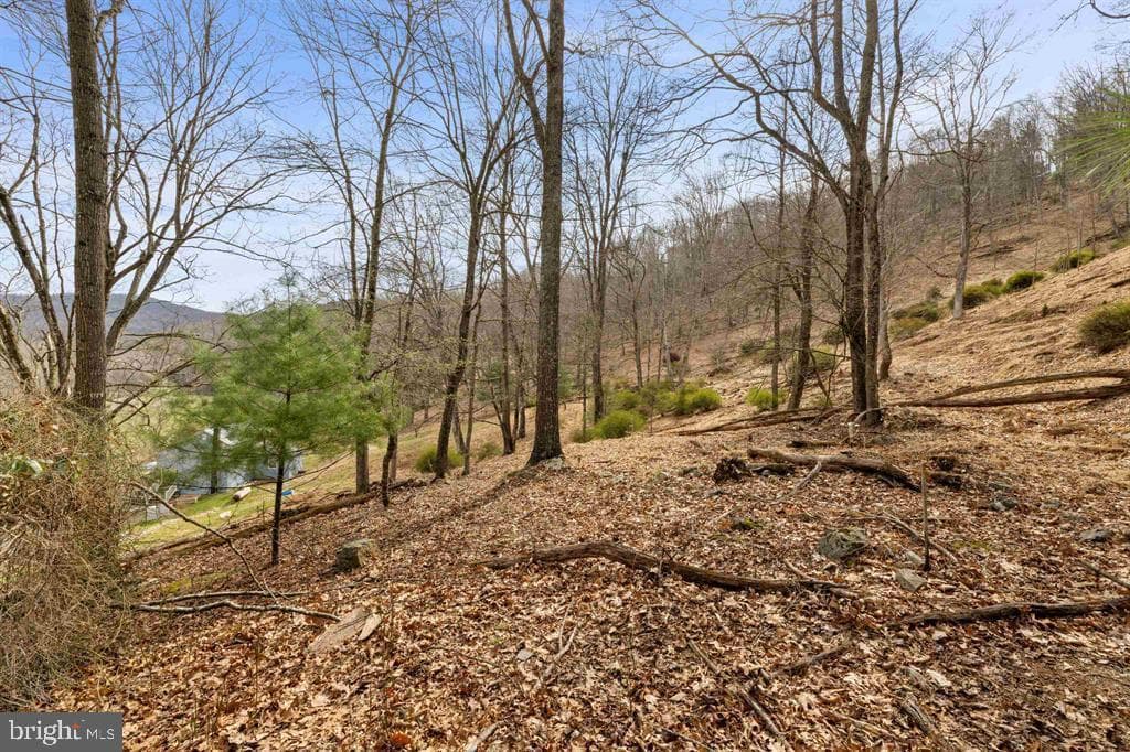 1851 Cullers Run Road photo 59