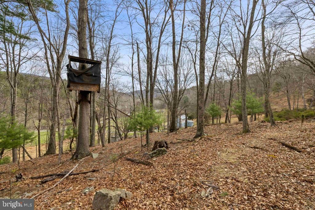 1851 Cullers Run Road photo 60