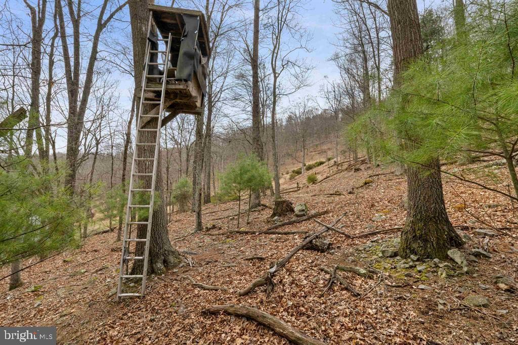 1851 Cullers Run Road photo 61
