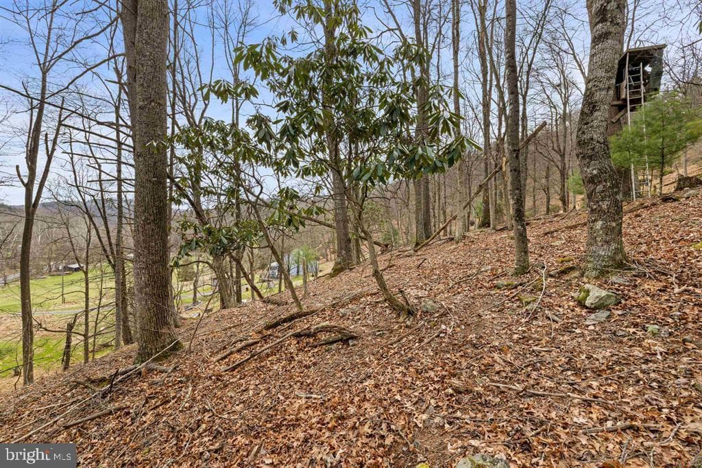 1851 Cullers Run Road photo 63