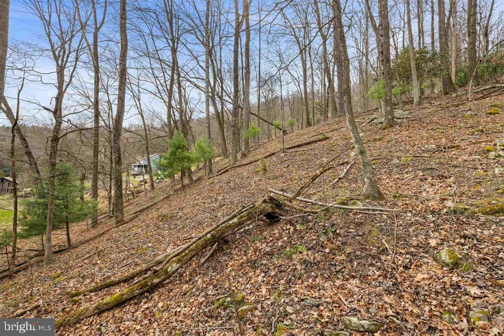 1851 Cullers Run Road photo 64