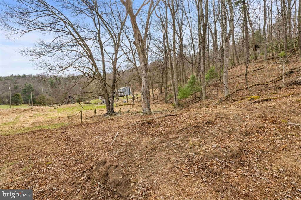 1851 Cullers Run Road photo 65