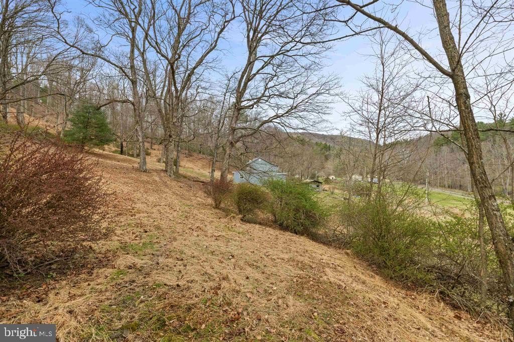 1851 Cullers Run Road photo 73