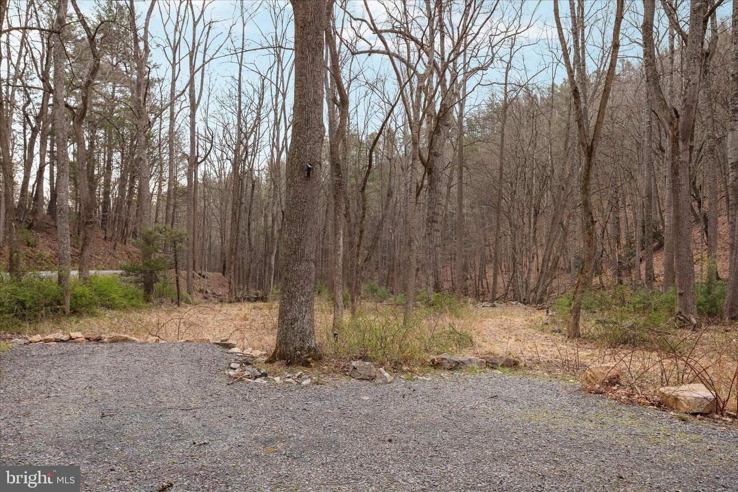 949 Dumpling Run Road photo 22