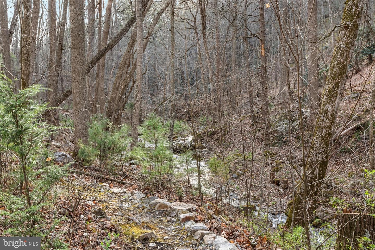 949 Dumpling Run Road photo 27