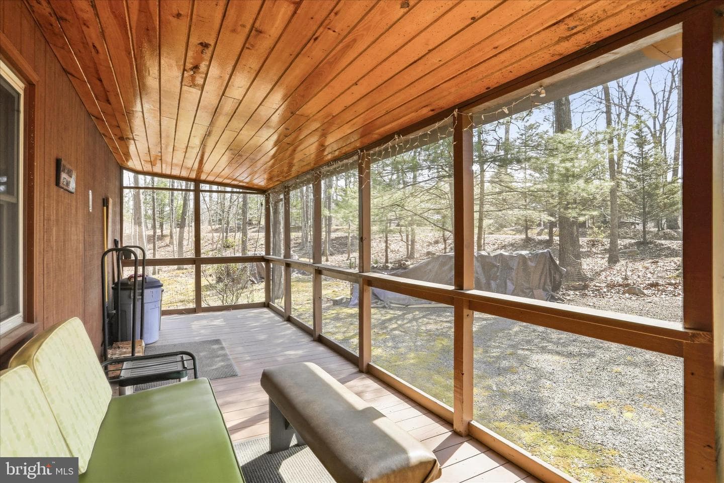 61 Grouse Circle, Lost City