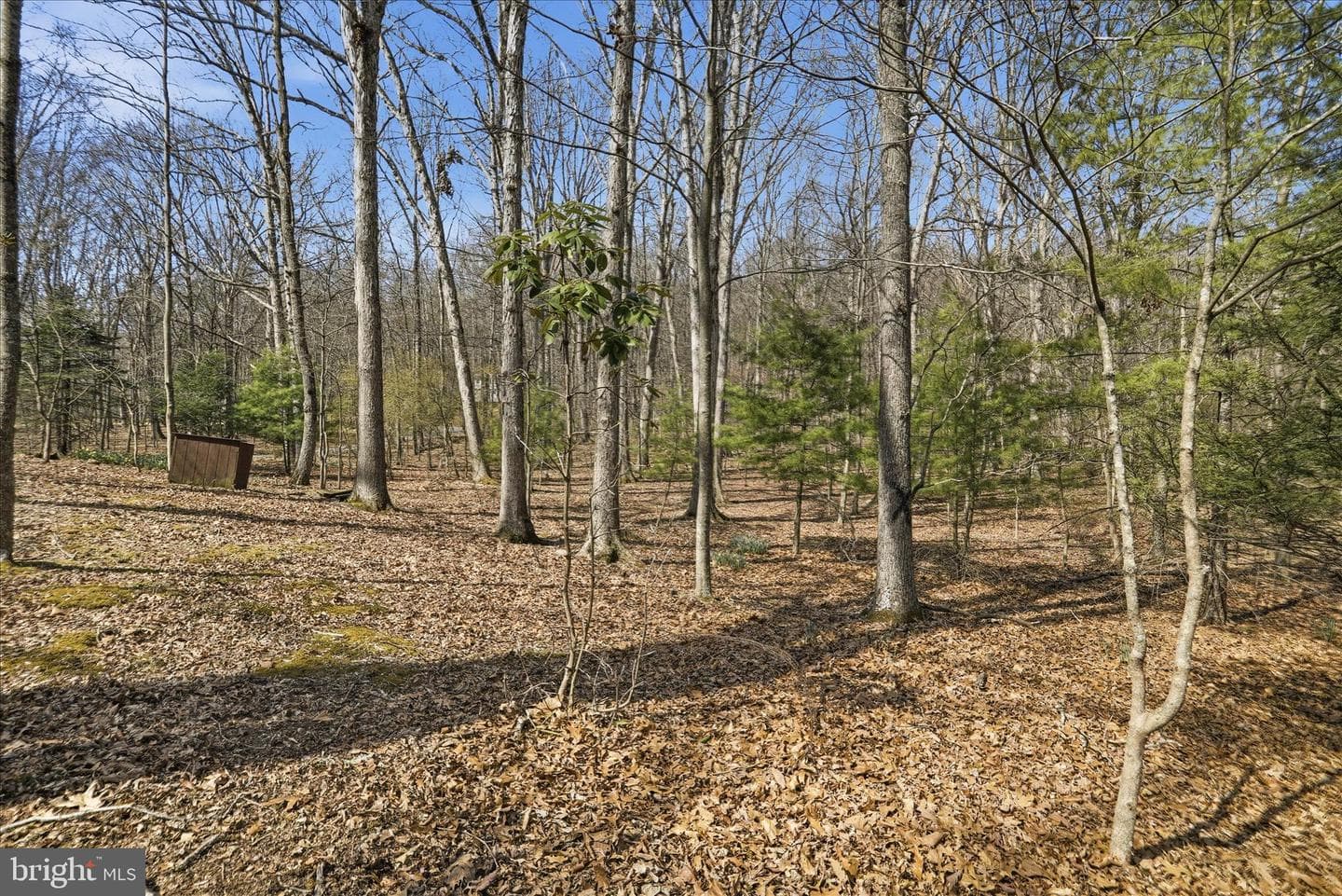 61 Grouse Circle photo 3