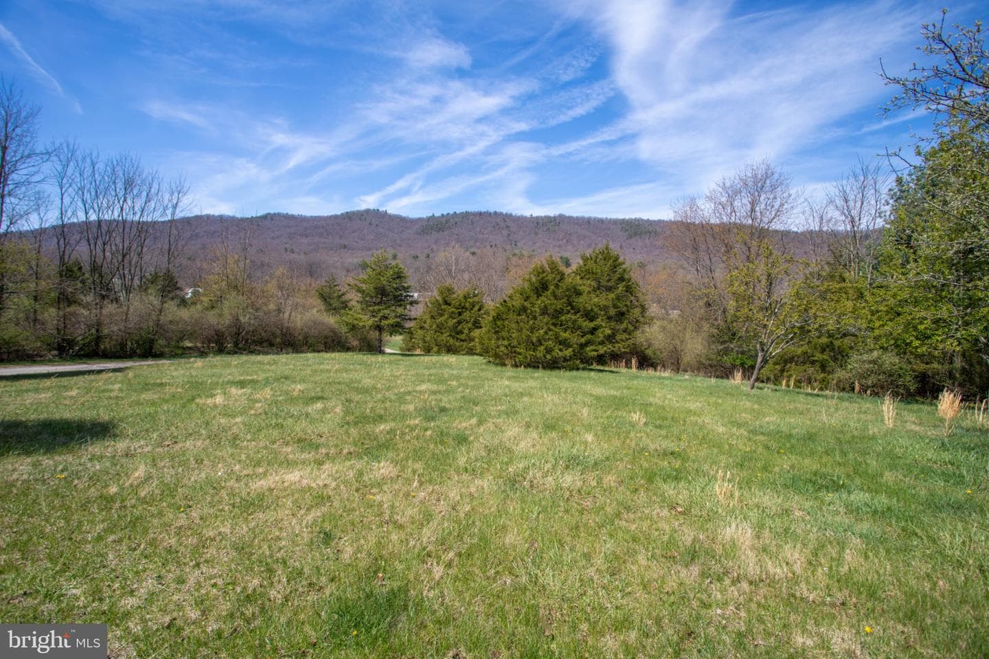 161 Coyote Run Road photo 10