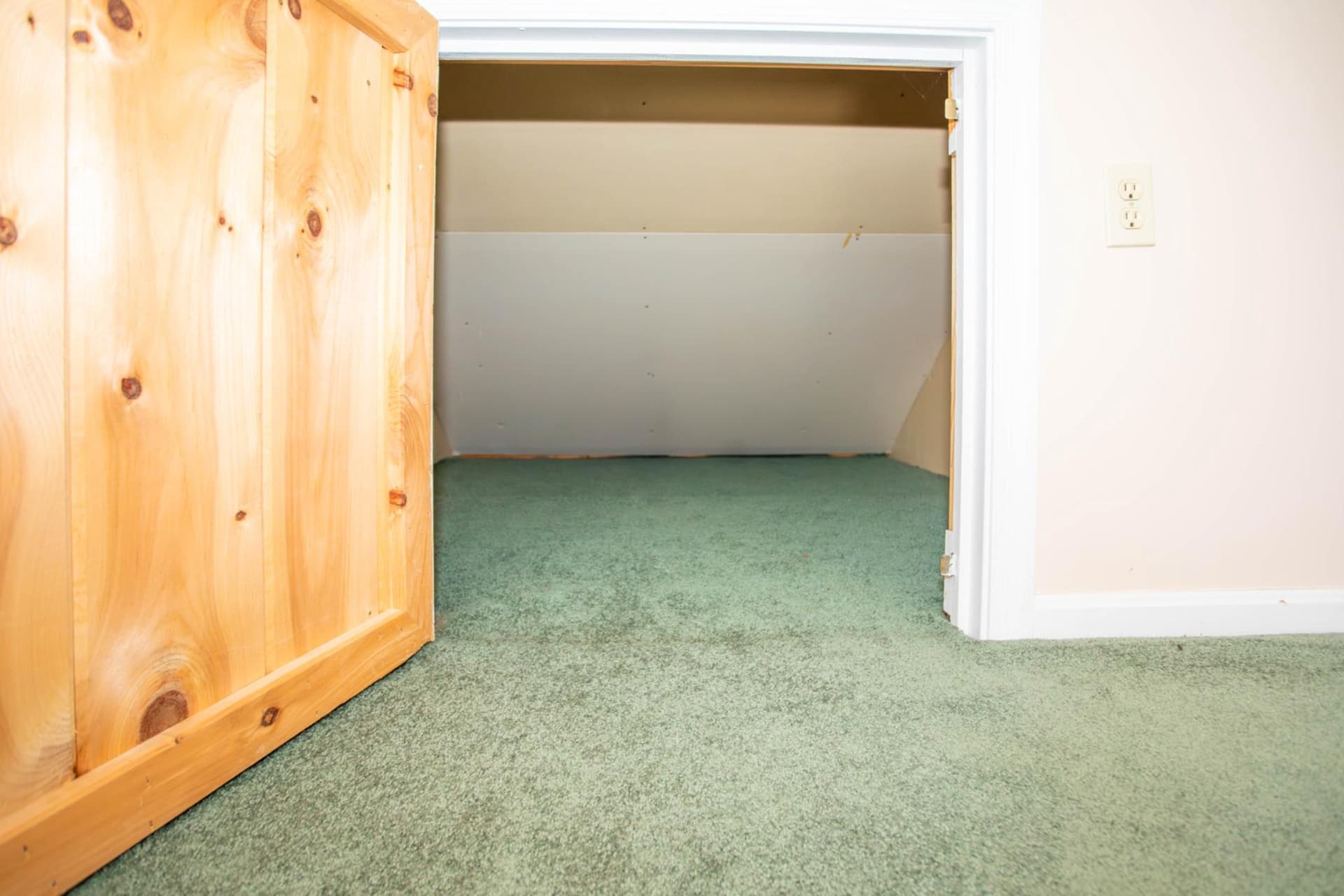 161 Coyote Run Road photo 48