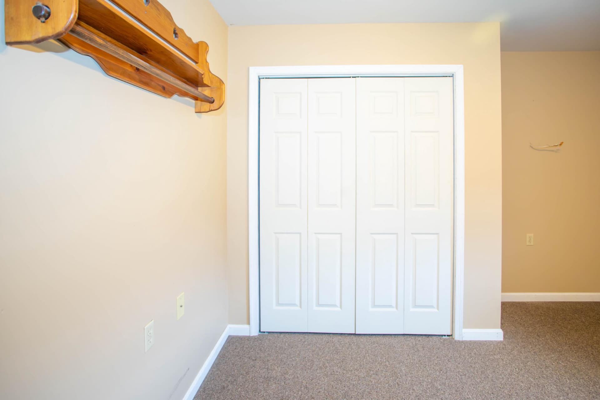 161 Coyote Run Road photo 57