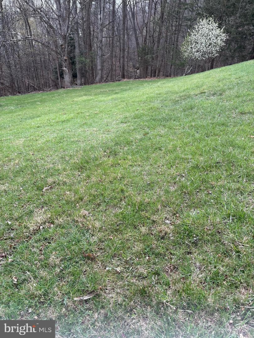 4309 Old Fields Road photo 28