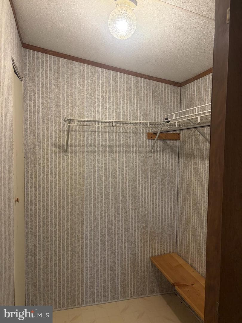 216 Walnut Drive photo 12
