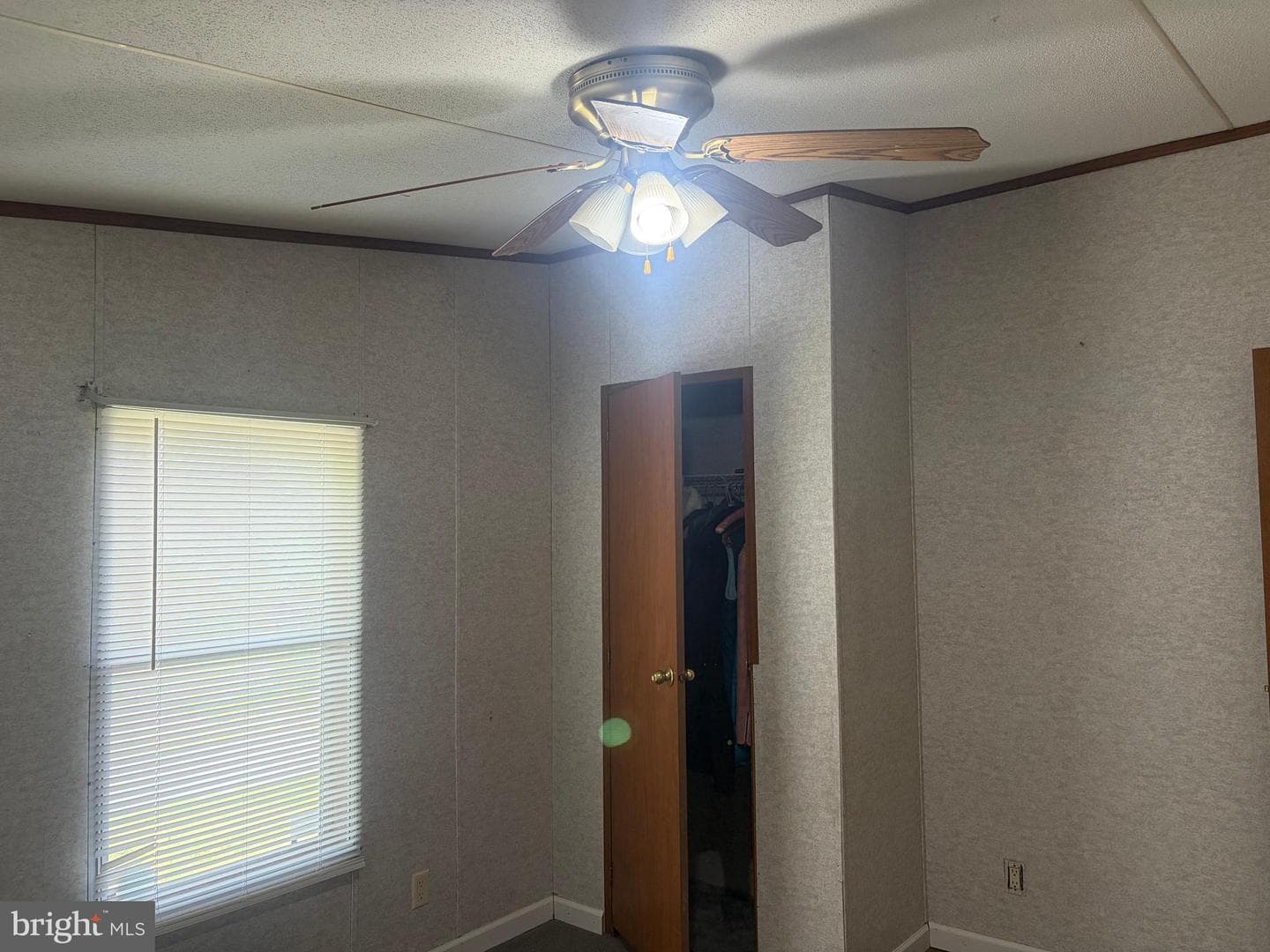 216 Walnut Drive photo 18