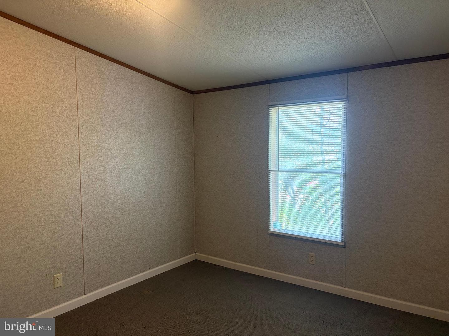 216 Walnut Drive photo 19