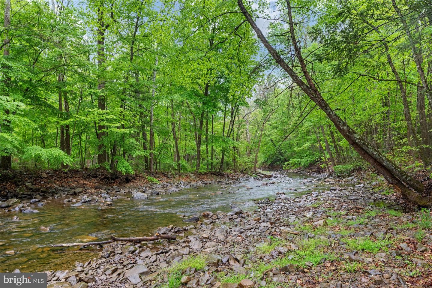13581 Ford Hill Road photo 2