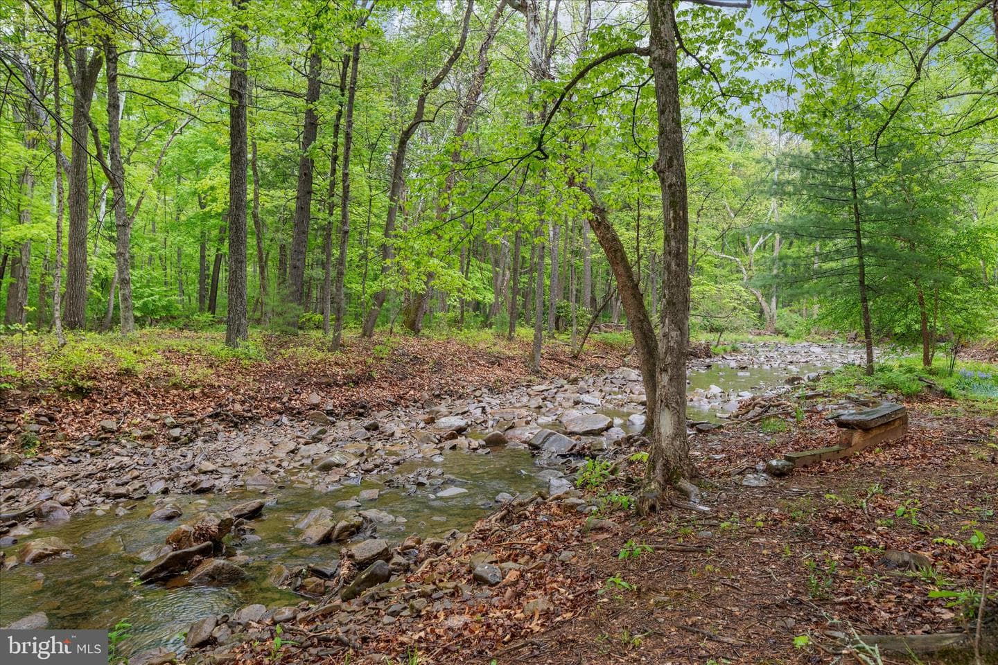 13581 Ford Hill Road photo 45