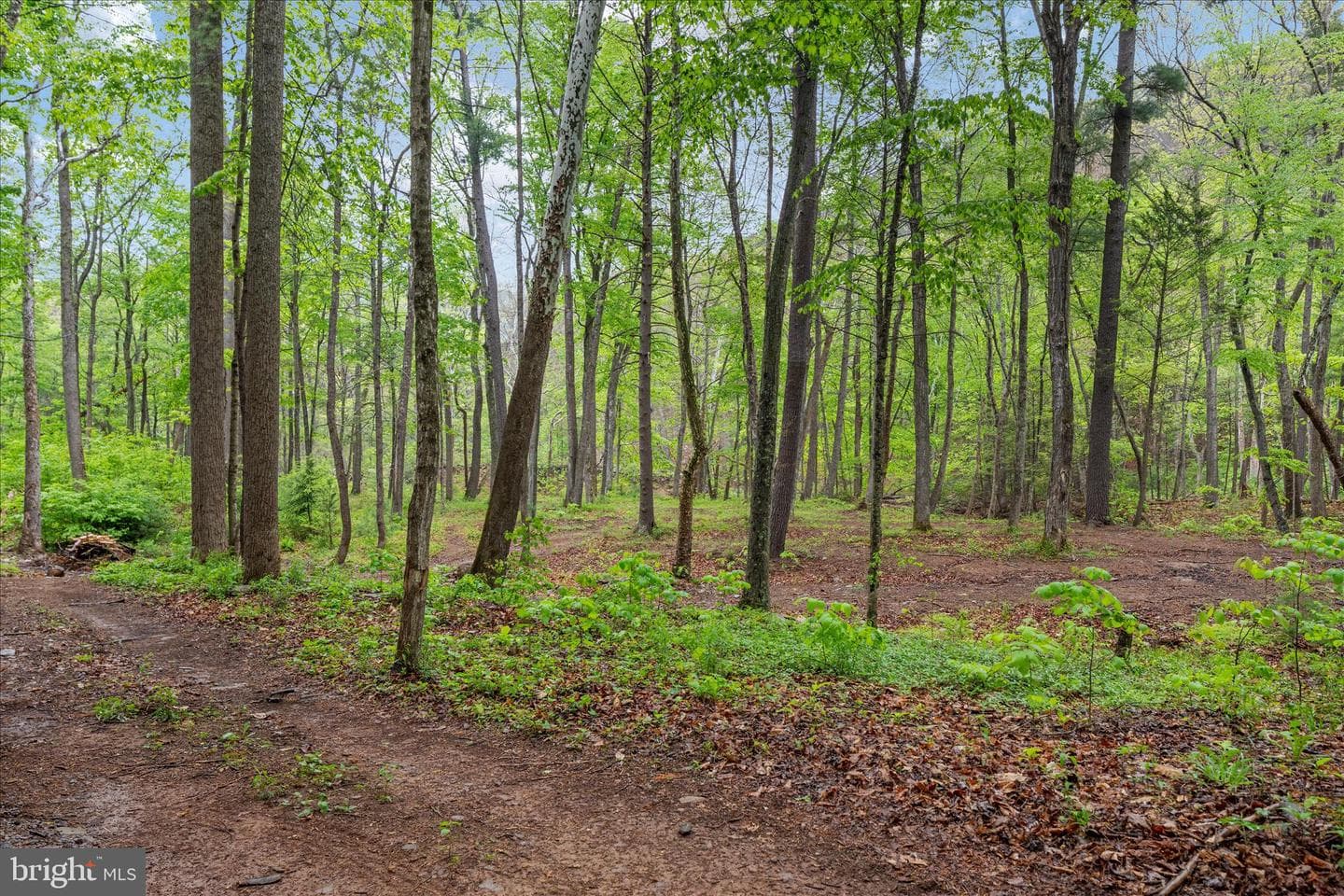 13581 Ford Hill Road photo 46