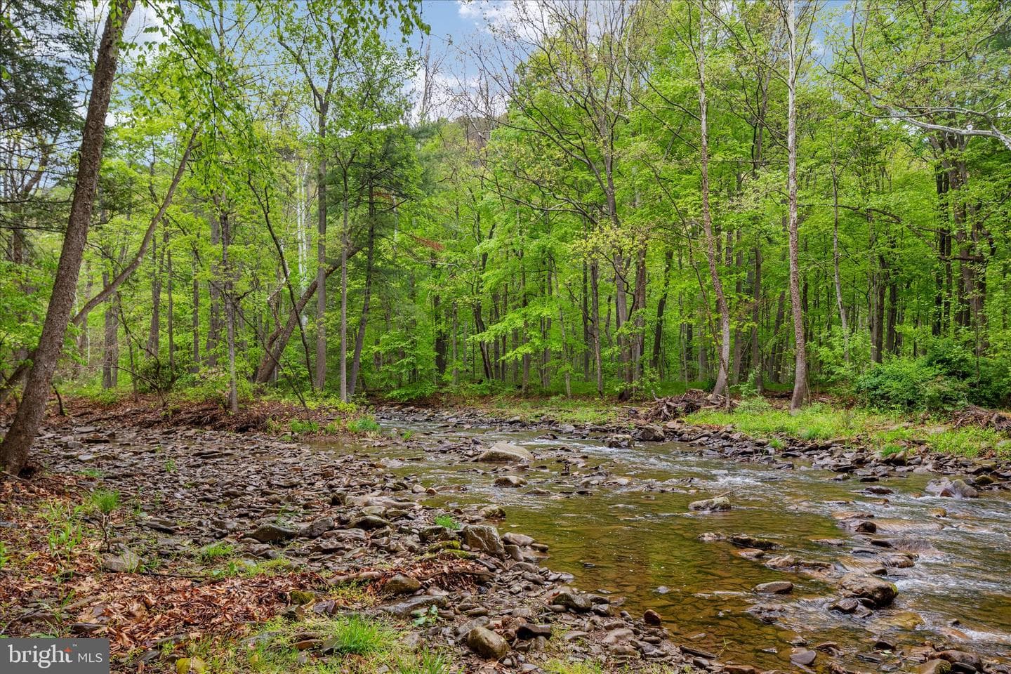 13581 Ford Hill Road photo 48