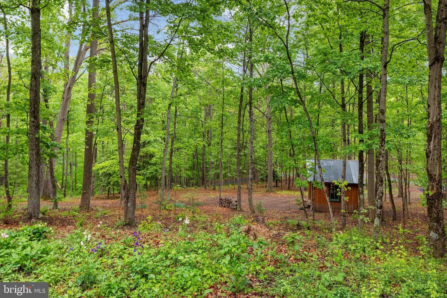 13581 Ford Hill Road photo 51