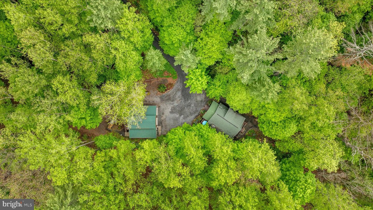 13581 Ford Hill Road photo 53