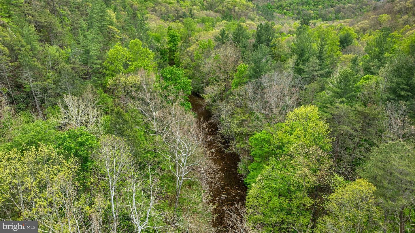 13581 Ford Hill Road photo 55