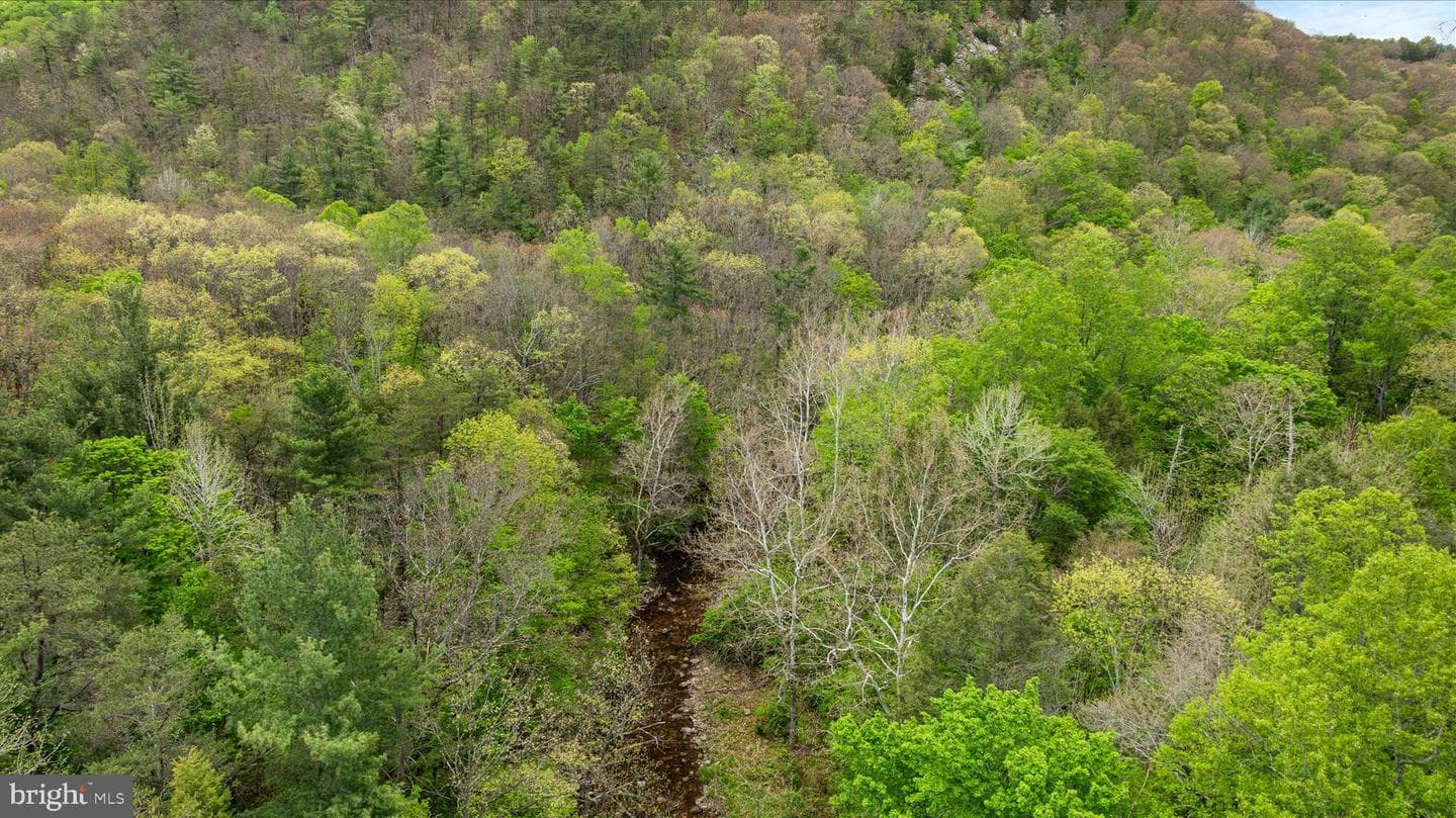 13581 Ford Hill Road photo 56