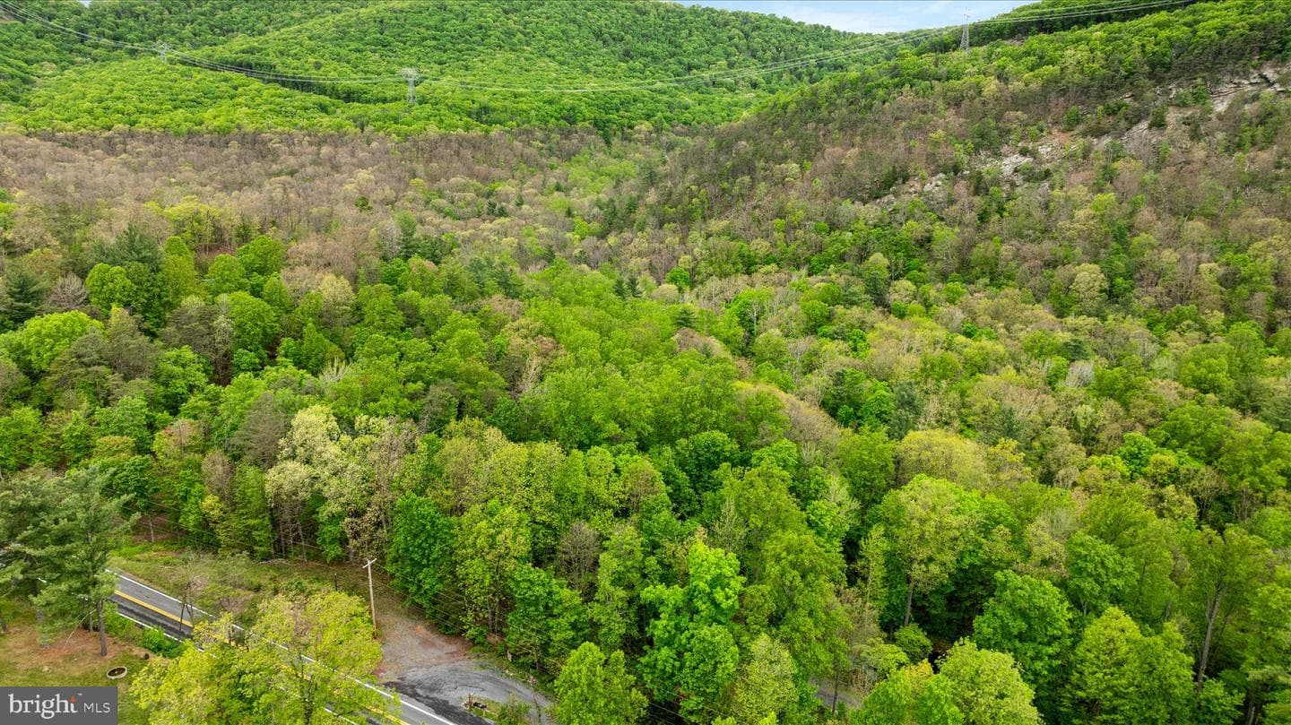 13581 Ford Hill Road photo 57