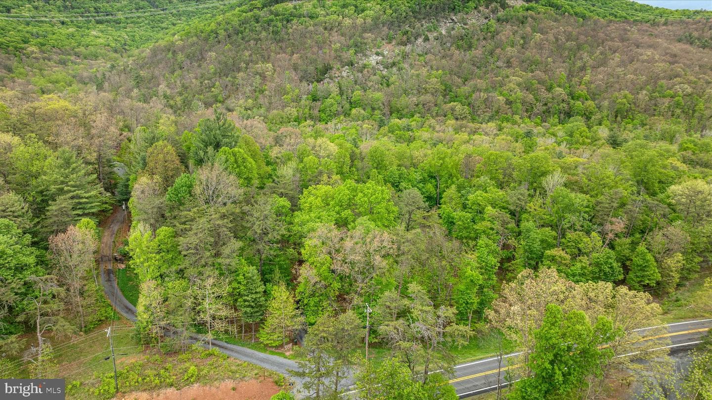 13581 Ford Hill Road photo 58