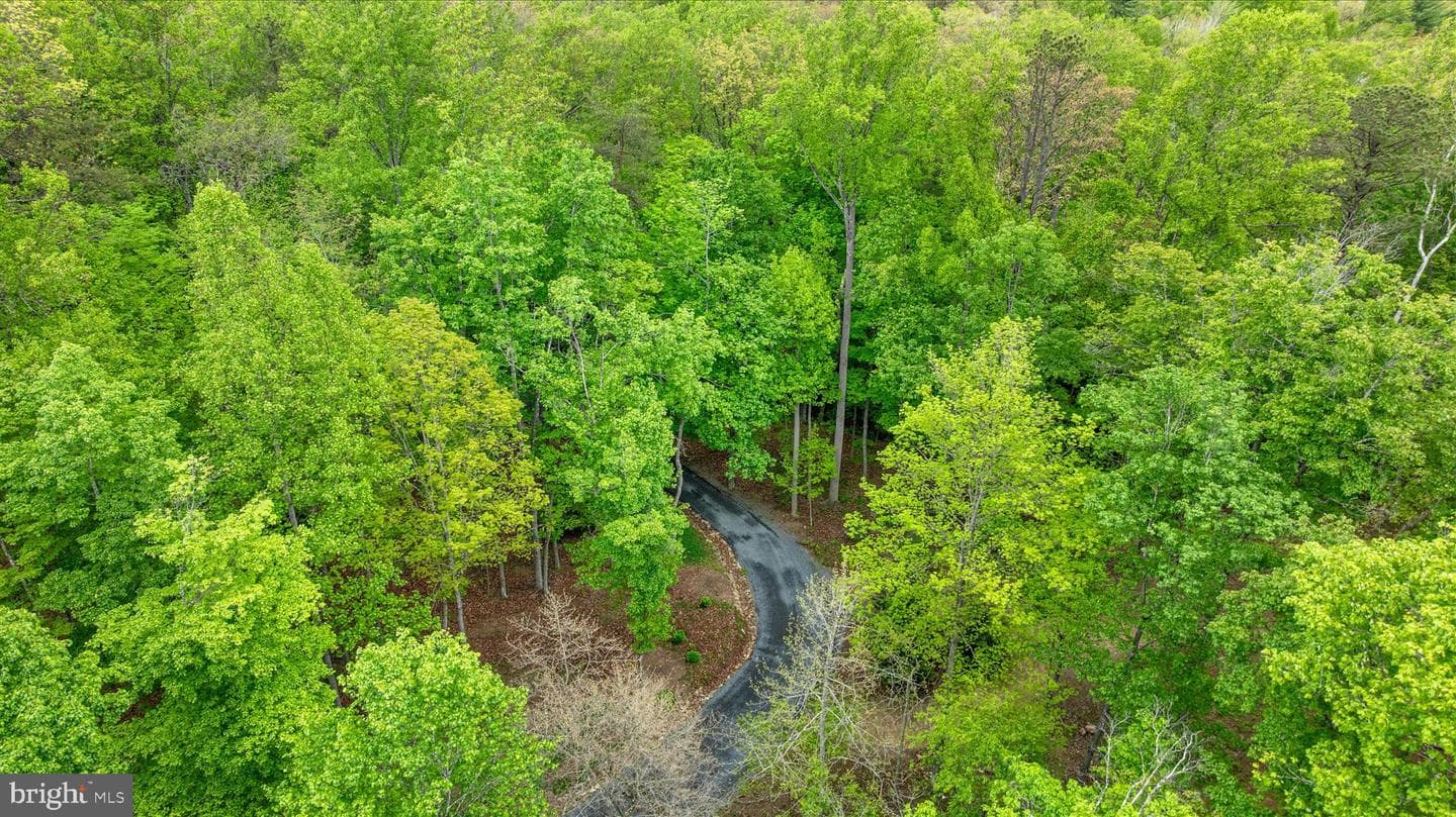 13581 Ford Hill Road photo 60