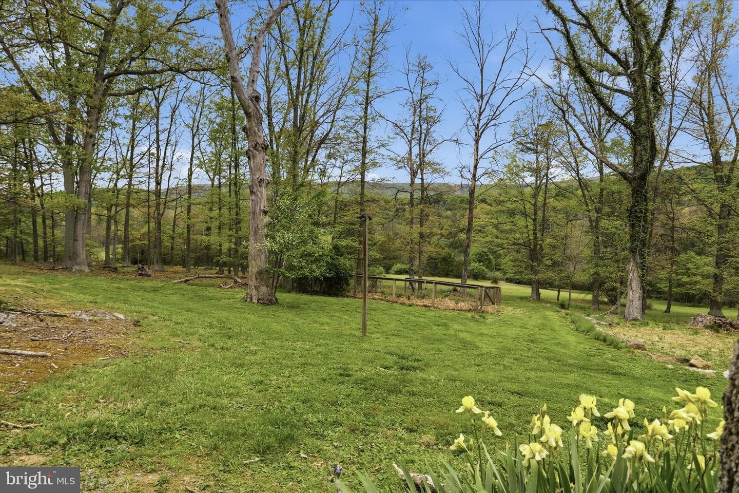 90 Shade Valley Road photo 34