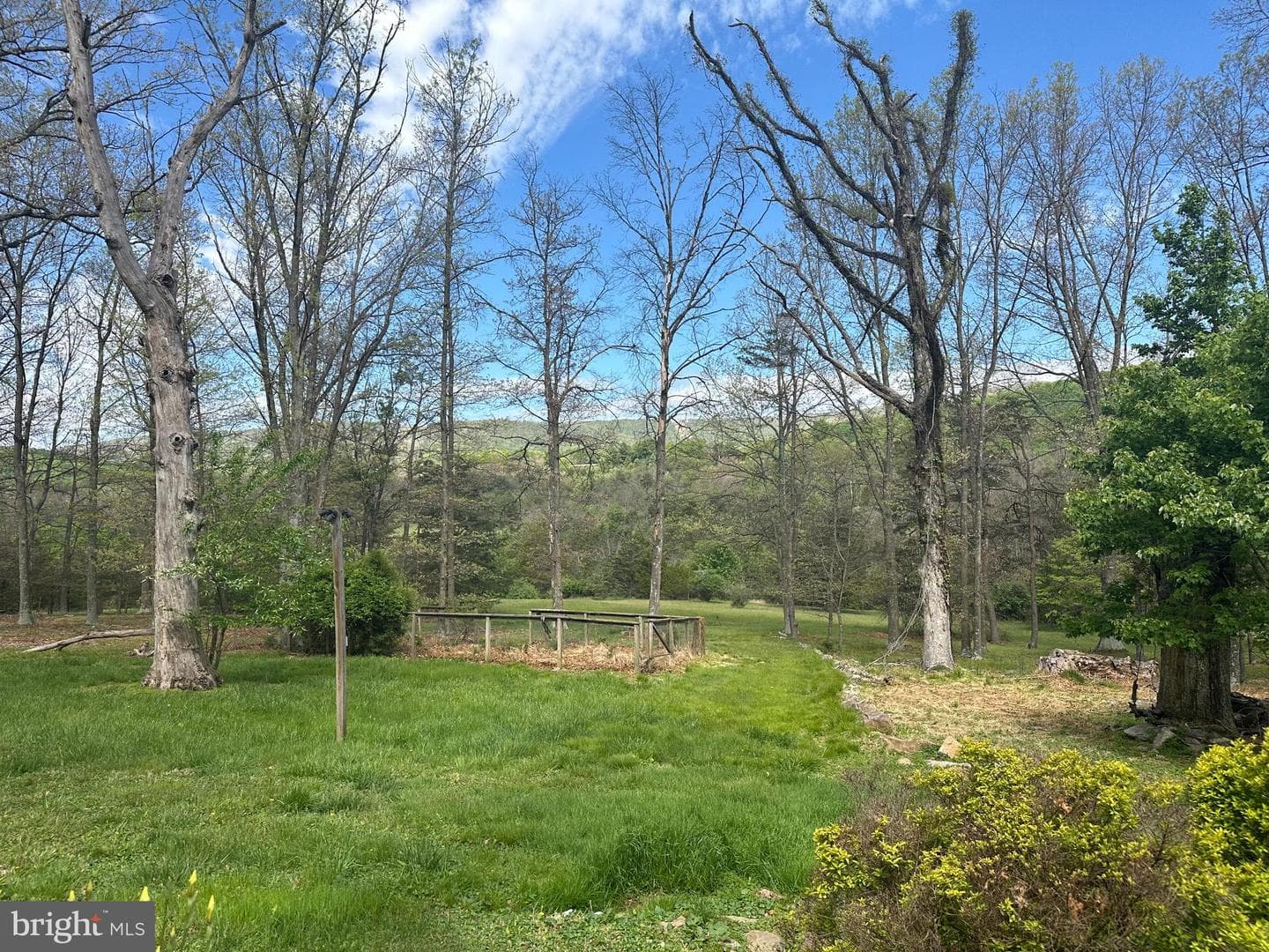 90 Shade Valley Road photo 35