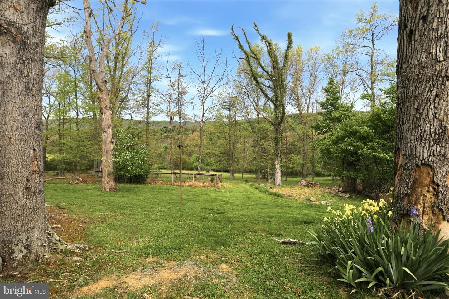90 Shade Valley Road photo 37